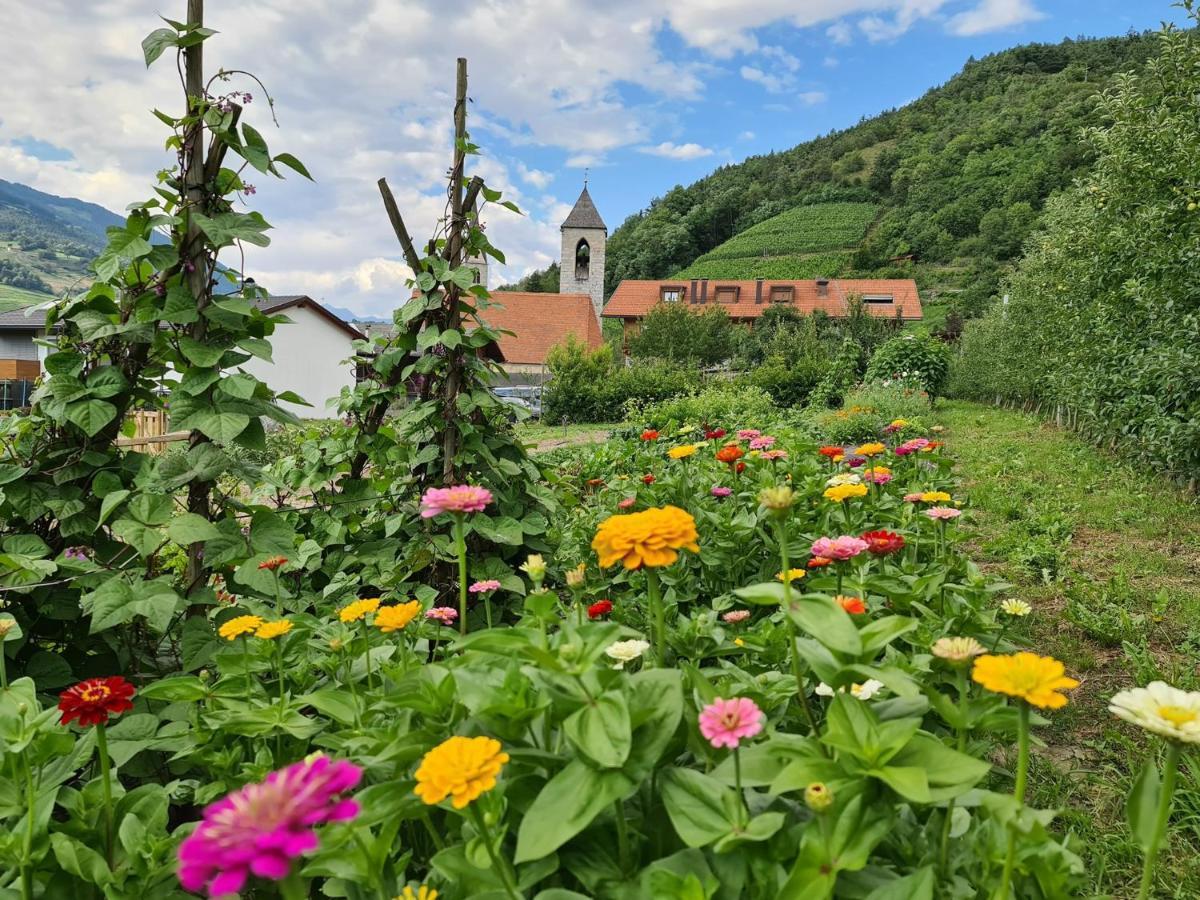 Kircherhof เบรสซาโนเน ภายนอก รูปภาพ